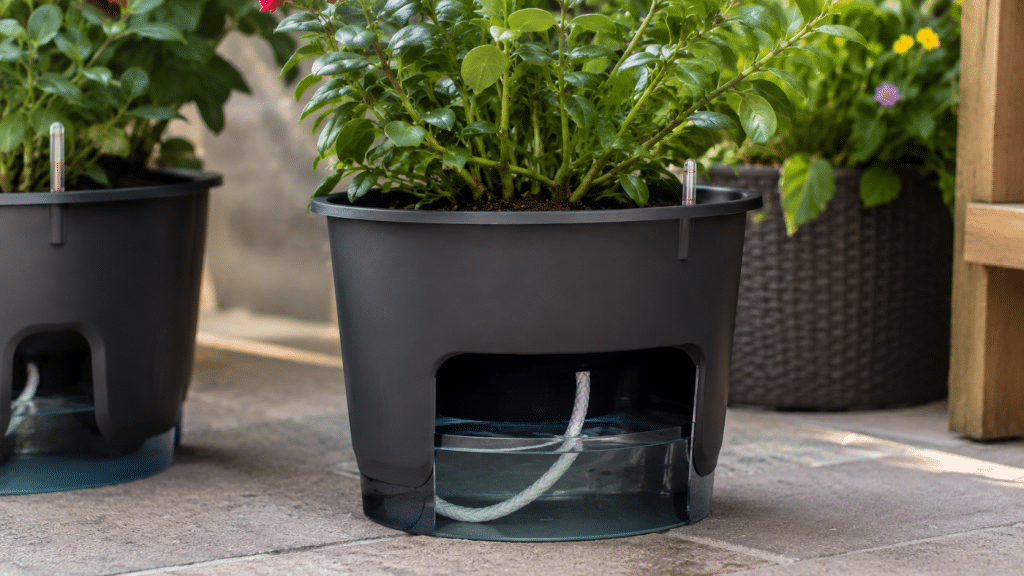 Vaso autoirrigante con serbatoio d'acqua integrato per mantenere il terreno umido in estate